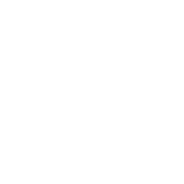 marine-megafauna-foundation-1 White circular logo with stylized manta ray and sea turtle silhouettes above bold stacked text MARINE MEGAFAUNA FOUNDATION