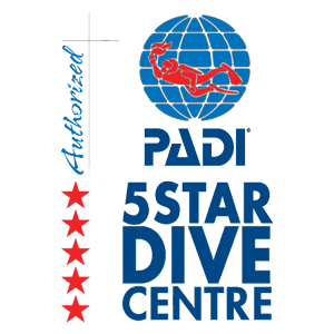 padi PADI 5 Star Dive Centre logo showing a globe with a red diver, PADI text, stacked "5 STAR DIVE CENTRE" and a vertical "Authorized" with five red stars